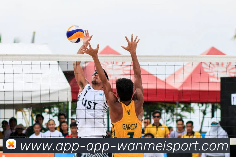 完美体育app平台生态图